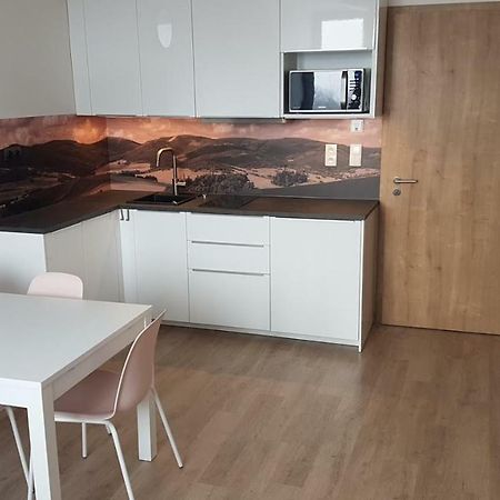 Apartmany Dolní Morava Extérieur photo