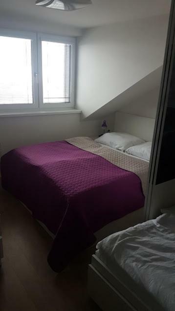 Apartmany Dolní Morava Extérieur photo
